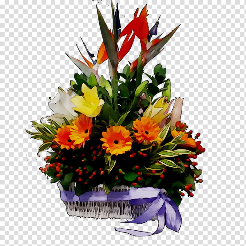 Bird Of Paradise, Floral Design, Cut Flowers, Flower Bouquet, Artificial Flower, Transvaal Daisy, Flowerpot, Floristry transparent background PNG clipart