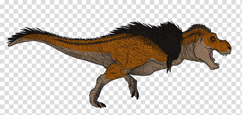 Jurassic Park, Tyrannosaurus, Velociraptor, Dinosaur, Drawing, Indominus Rex, Kasai Rex, Theropods transparent background PNG clipart