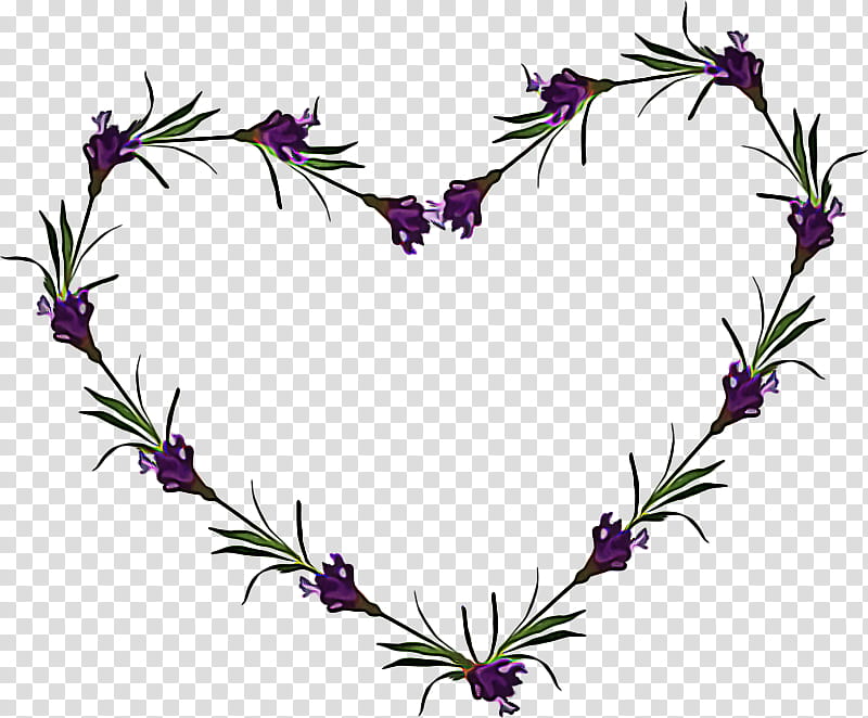 Rosemary, Flower, Plant, Violet, Purple, Flowering Plant, Breckland Thyme, Wildflower transparent background PNG clipart