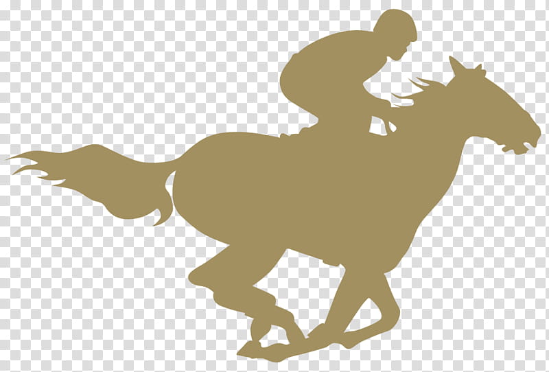 Horse, Horse Racing, Horse Trainer, 2019 Kentucky Derby, Mustang, Pony, Stallion, Colt transparent background PNG clipart