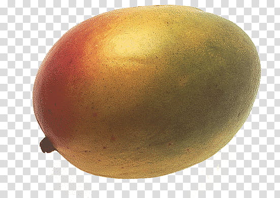 yellow mango transparent background PNG clipart