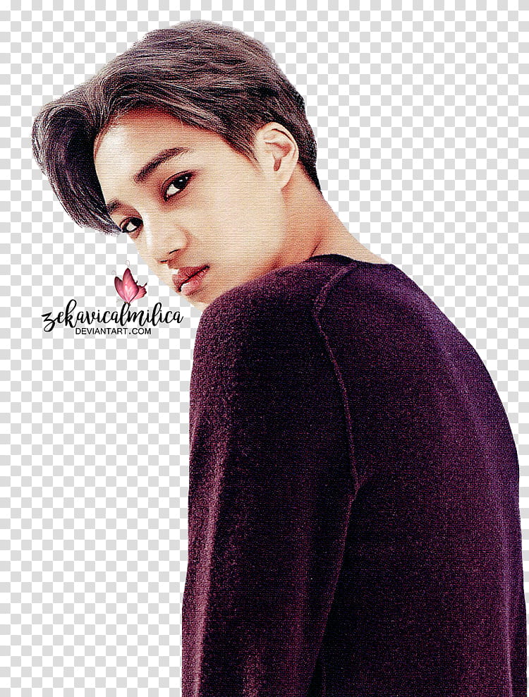 EXO Kai  Season Greetings, Kai from EXO transparent background PNG clipart