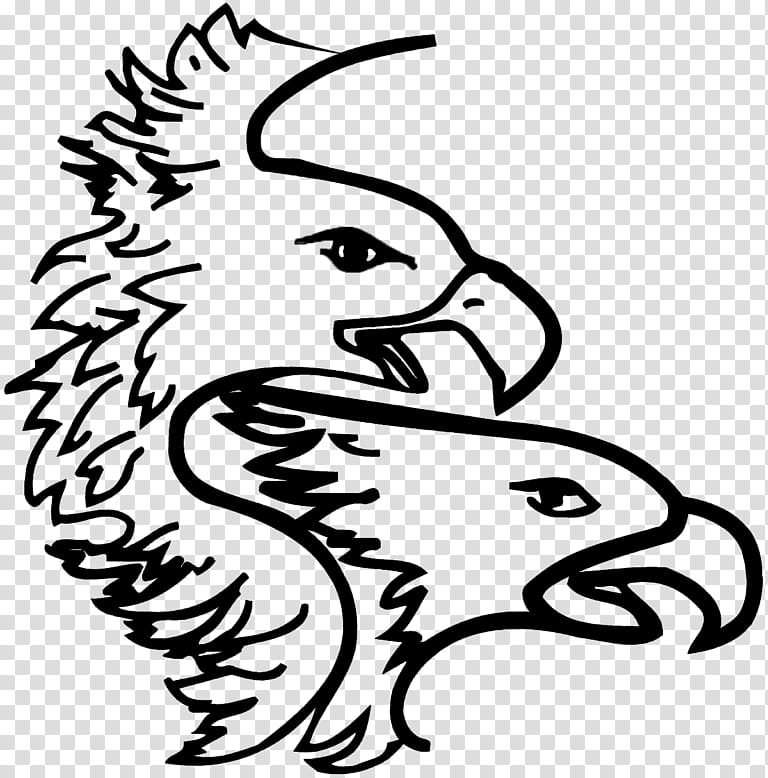Bird Line Drawing, Bald Eagle, Beak, Chicken, Vulture, Cartoon, Bird Of Prey, Black Vulture transparent background PNG clipart