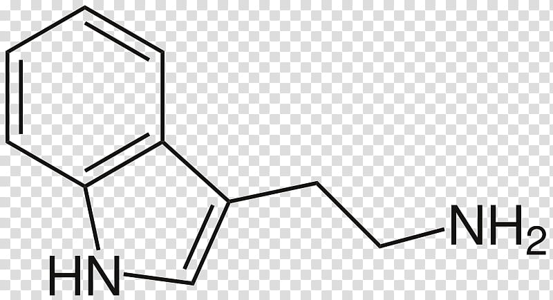 Chemistry, Tryptamine, Indole, Nndimethyltryptamine, 4hodet, Dipropyltryptamine, Neurotransmitter, Ibogaine transparent background PNG clipart