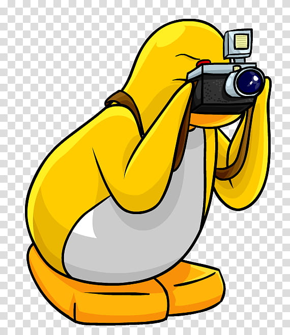 Penguin, Club Penguin, grapher, Camera, Cartoon, Yellow transparent background PNG clipart