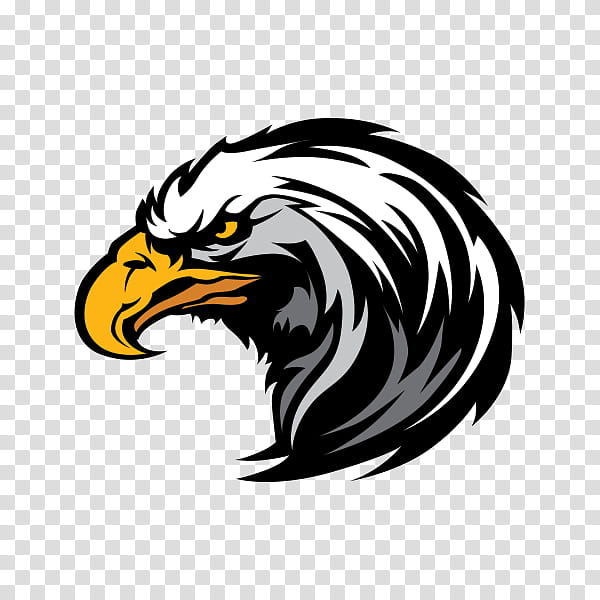 Eagle Logo | Unique logo design, Logo design, Business logo design