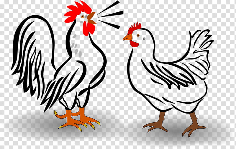 Bird Line Art, Dorking Chicken, Leghorn Chicken, Cochin Chicken, Rooster, Chicken As Food, Poultry, Beak transparent background PNG clipart