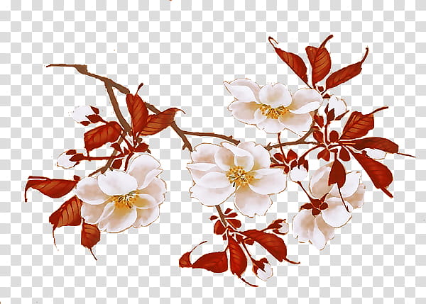 sakura s, white petaled flower artwork transparent background PNG clipart