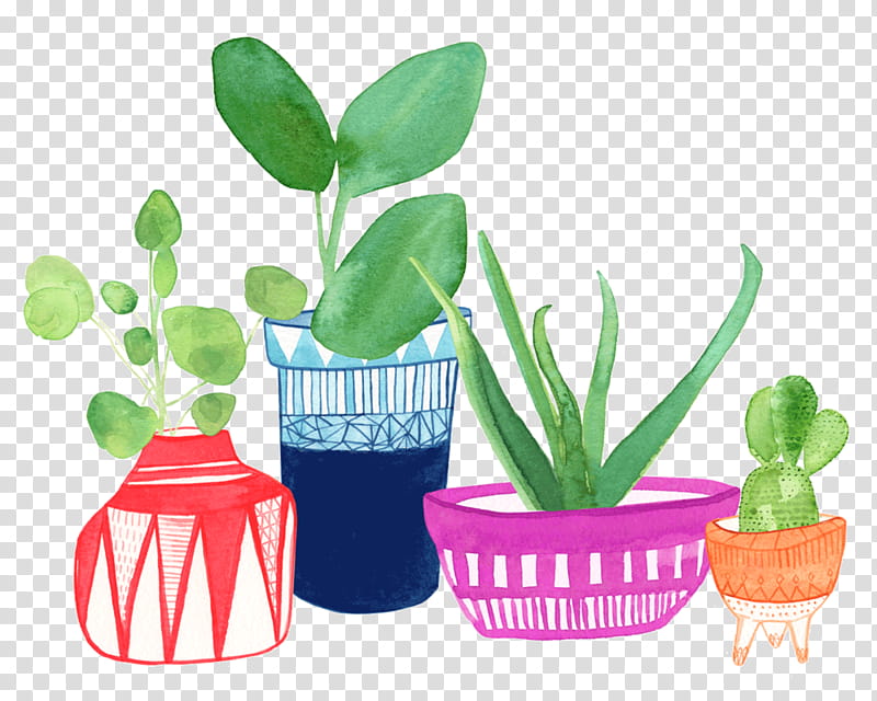 Watercolor Flower, Succulent Plant, Watercolor Painting, Drawing, Cactus, Garden, Container Garden, Gouache transparent background PNG clipart