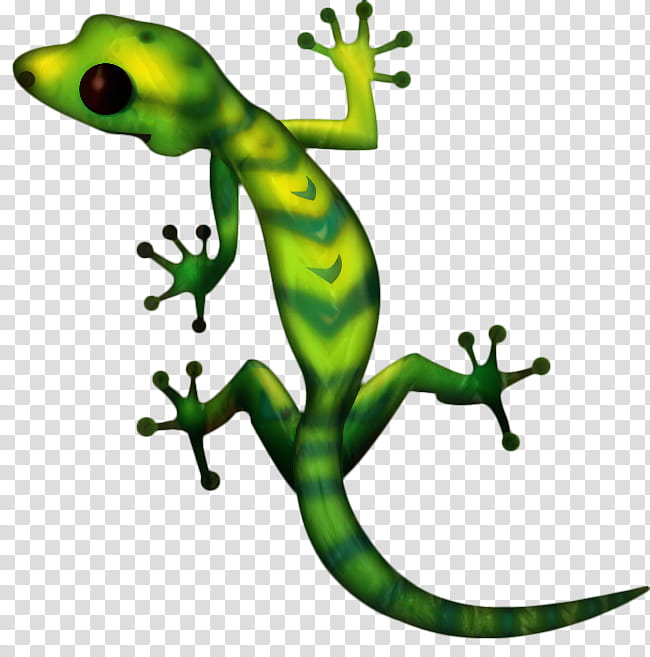 Background Green, Gecko, Hashtag, Video, Lizard, Youtuber, Reptile, Tagged transparent background PNG clipart