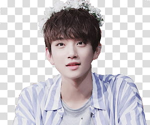 SEVENTEEN Joshua Render transparent background PNG clipart