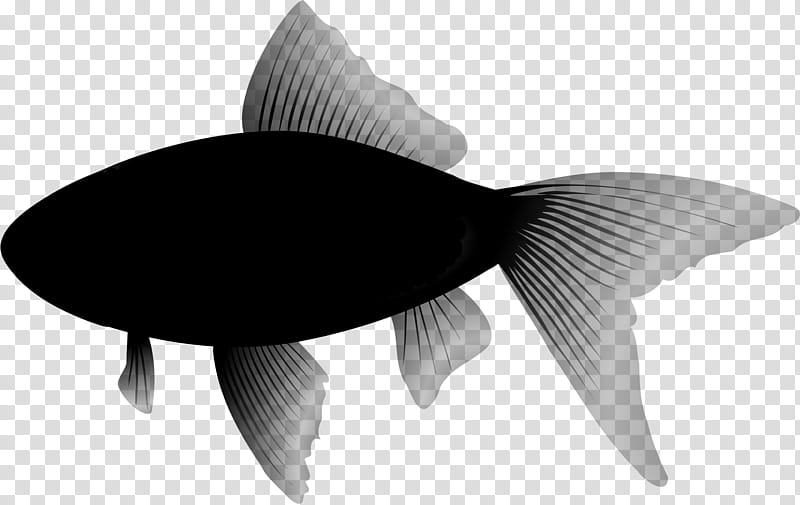 Fishing, Bluefish, Decoupage, Fin, Tail, Blackandwhite transparent background PNG clipart