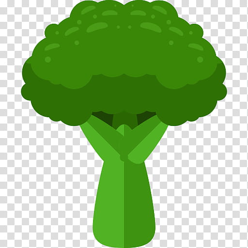 Green Leaf, Broccoli, Vegetable, Cauliflower, Broccoli Slaw, Wild Cabbage, Leaf Vegetable, Plant transparent background PNG clipart