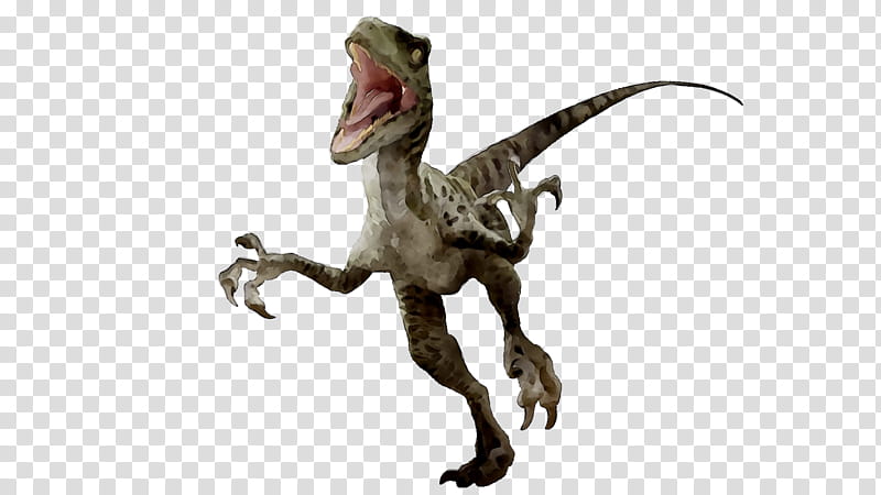 Picsart, Velociraptor, Tyrannosaurus, Dinosaur, Majungasaurus, Spinosaurus, App Store, Itunes transparent background PNG clipart