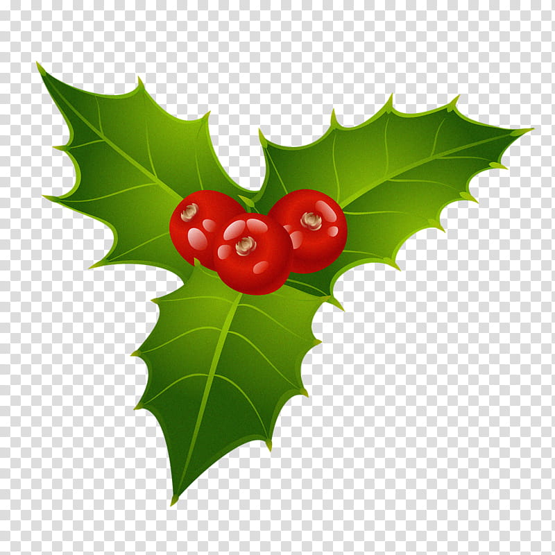 Christmas Decoration Drawing, Mistletoe, Christmas Day, Common Holly, Candy Cane, Christmas Mistletoe, Leaf, Plant transparent background PNG clipart