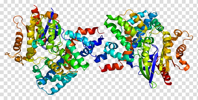 Thymidine Kinase 1 Text, Protein, G Protein, Regulator Of G Protein Signaling, Gene, Cell, Structure, Thymidine Kinase 2 Mitochondrial transparent background PNG clipart