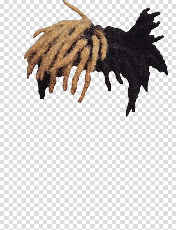 Xxxtentacion, Dreadlocks, Hair, Hairstyle, Afrotextured Hair, Bad, Depression Obsession, Drawing transparent background PNG clipart