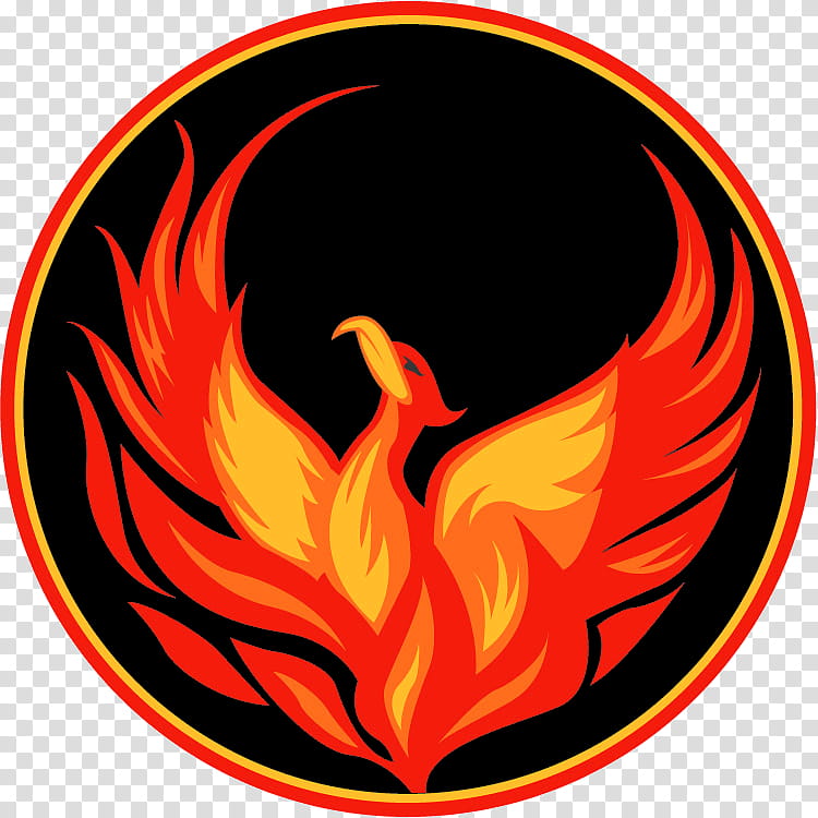 Phoenix Logo, Mead High School, School Of The Future, Phoenix High School, West Valley High School, University High School, School
, Education transparent background PNG clipart