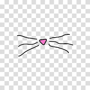 cat's nose and whiskers illustration transparent background PNG clipart