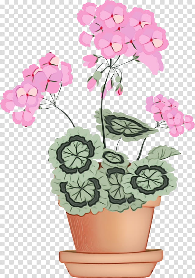 Floral Flower, Floral Design, Garden, Flowerpot, Watering Cans, Garden Tool, Plant, Pink transparent background PNG clipart