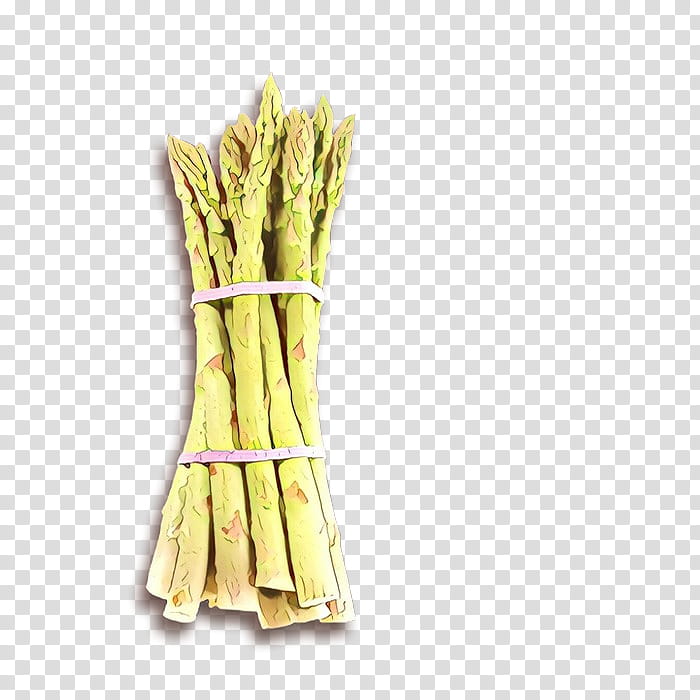 asparagus vegetable plant leek food transparent background PNG clipart