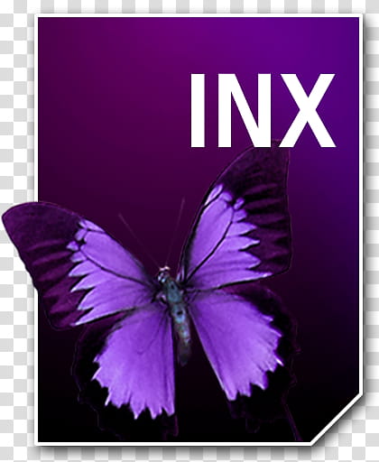 Adobe Neue Icons, INX__, purple butterfly INX icon transparent background PNG clipart