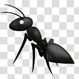 emojis, black ant art transparent background PNG clipart