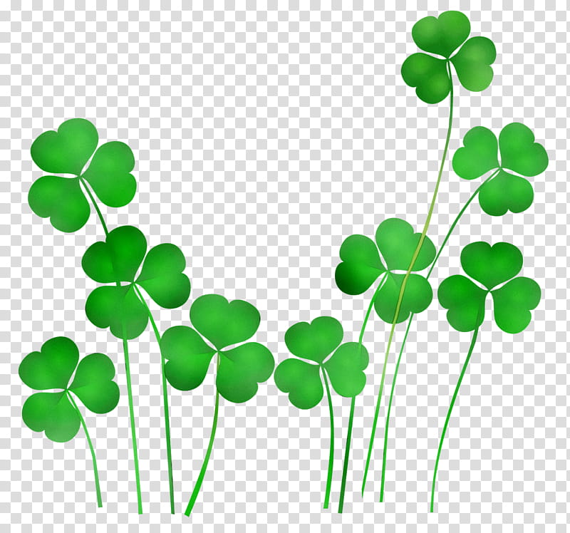 St Patricks Day, Shamrock, Saint Patricks Day, St Patricks Day Fun, St Patricks Day Crafts, Leprechaun, St Patricks Day Shamrocks, Irish People transparent background PNG clipart