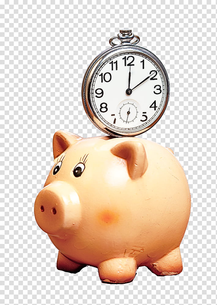 Piggy bank, Saving, Suidae, Snout, Money Handling, Alarm Clock transparent background PNG clipart