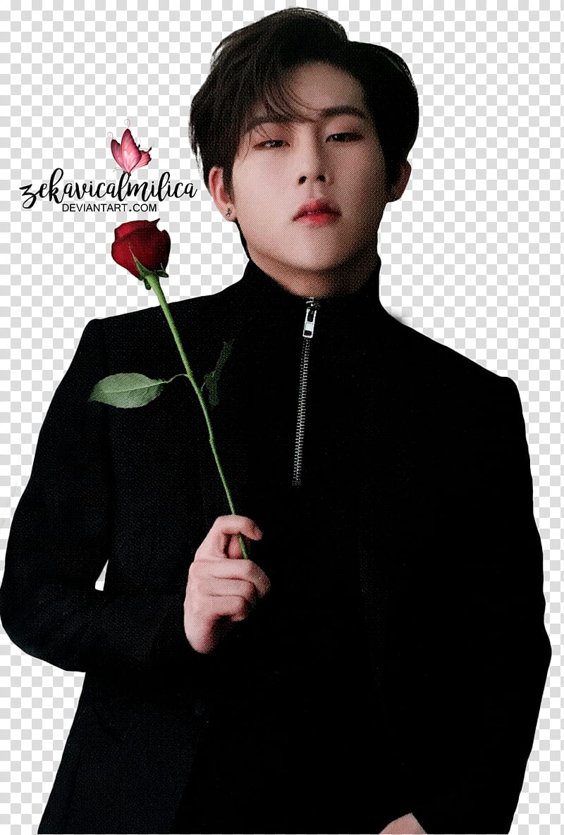Monsta X, man holding red rose transparent background PNG clipart