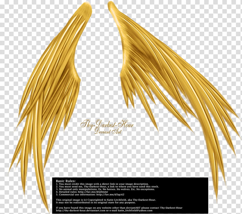 Wings of Madness Golden, gold wings transparent background PNG clipart