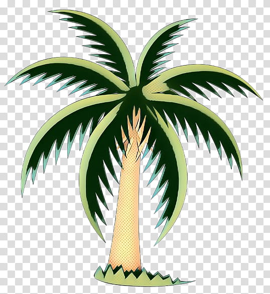 Date Tree Leaf, Palm Trees, Date Palm, Coconut, Plants, Asian Palmyra Palm, Woody Plant, Fan Palms transparent background PNG clipart