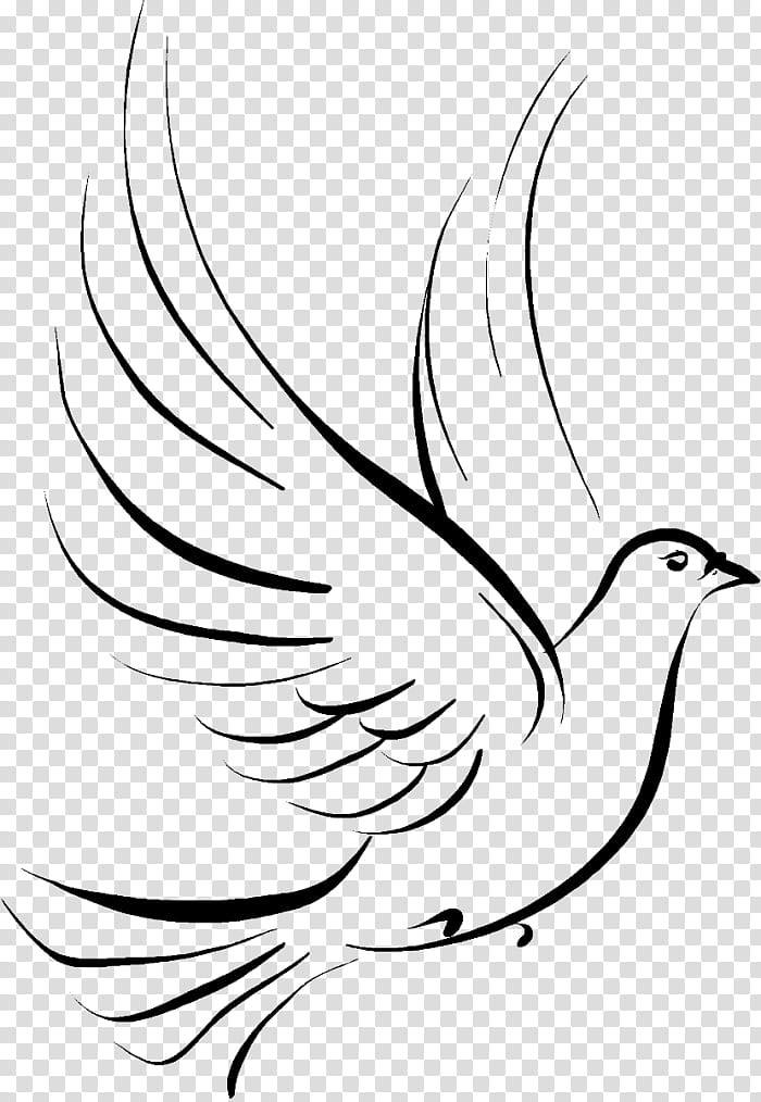 Bird Line Drawing, Tattoo, Inked, Body Piercing, Pigeons And Doves, Stencil, Idea, Human Back transparent background PNG clipart