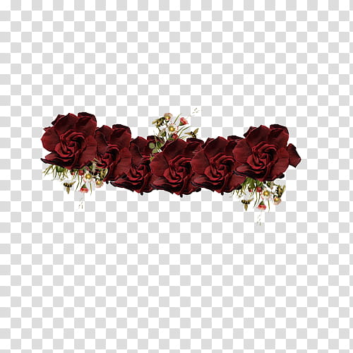 Flower Crowns RAR, red rose illustration transparent background PNG clipart