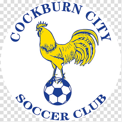Football Logo, Rooster, Chicken, City Of Cockburn, Android, Beak, Text, Bird transparent background PNG clipart
