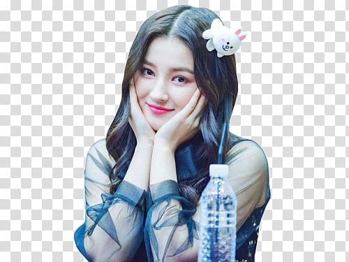 NANCY MOMOLAND , Nancy McDonie transparent background PNG clipart