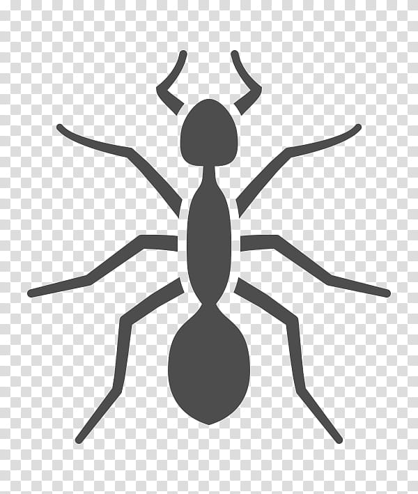 Ant, Pest Control, Cockroach, Exterminator, Termite, Cleggs Termite Pest Control, Carpenter Ant, Solenopsis Molesta transparent background PNG clipart
