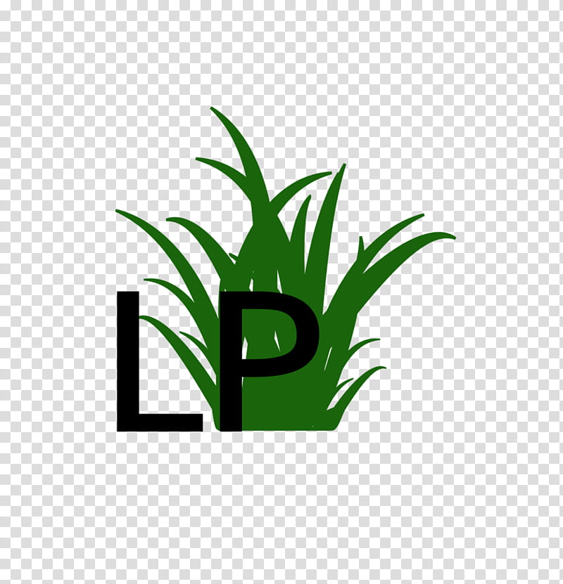 Family Tree, Lawn, Herbaceous Plant, Landscape Maintenance, Landscape Lighting, Leaf, Irrigation, Green transparent background PNG clipart