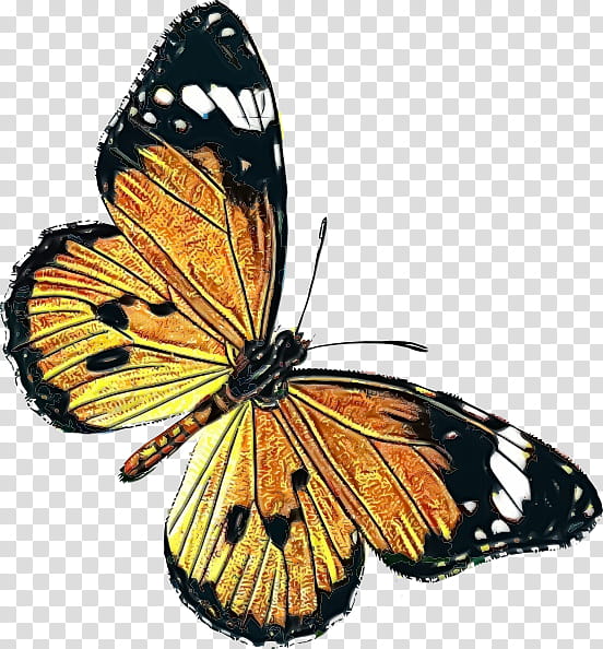 Watercolor Butterfly, Paint, Wet Ink, Public Domain, Insect, Plain Tiger, Monarch Butterfly, Butterflies transparent background PNG clipart