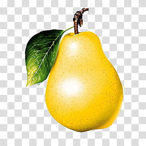 yellow pear fruit transparent background PNG clipart