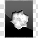 DarkTiles, white paper flower transparent background PNG clipart