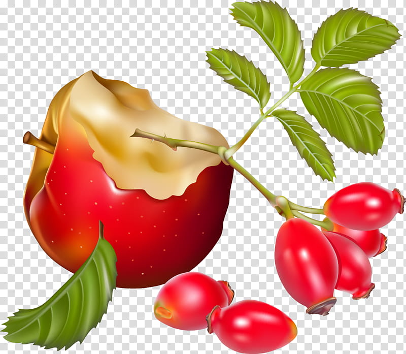 Tomato, Apple, Barbados Cherry, Food, Fruit, Vegetable, Still Life , Cranberry transparent background PNG clipart