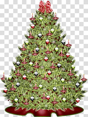 Christmas decoration, Christmas Tree, Christmas Ornament, Oregon Pine, Colorado Spruce, Christmas 
, Holiday Ornament, Plant transparent background PNG clipart thumbnail