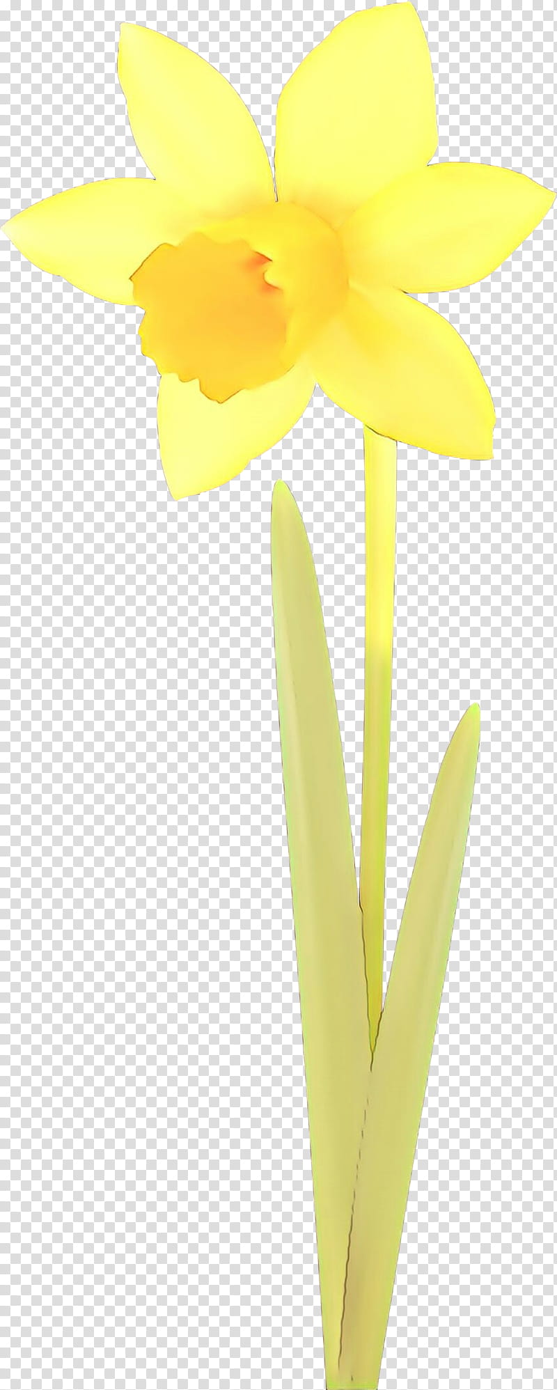 Flowers, Cartoon, Floristry, Cut Flowers, Narcissus, Petal, Plant Stem, Yellow transparent background PNG clipart