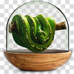 Sphere   the new variation, glass dome with green snake transparent background PNG clipart