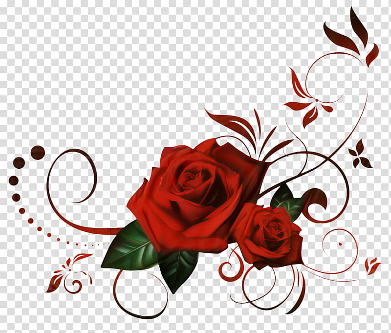 Black And White Flower, Rose, Black Rose, Floral Design, Red, Flower Bouquet, Pink, Cut Flowers transparent background PNG clipart