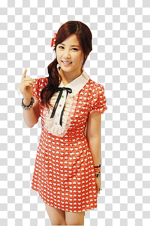 Chorong transparent background PNG clipart