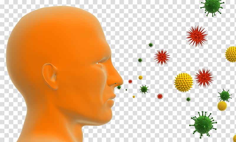 Orange Flower, Allergy, Sneeze, Allergic Rhinitis Due To Pollen, Drawing, Smile transparent background PNG clipart