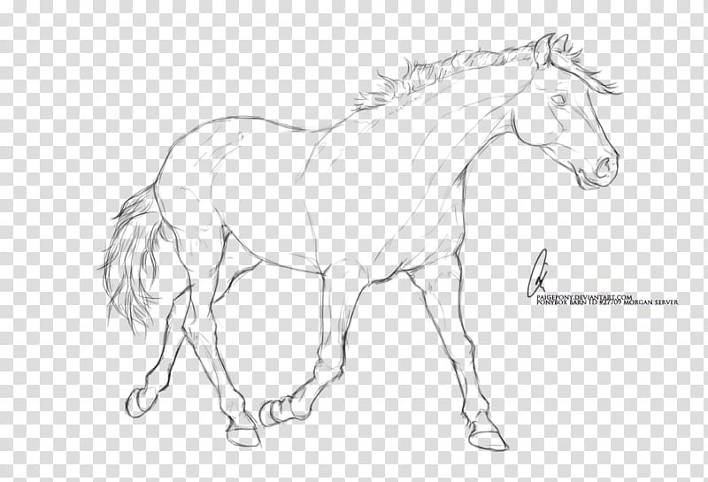 free lineart trotting, black horse painting transparent background PNG clipart