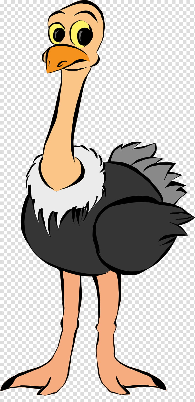 Bird Silhouette, Common Ostrich, Emu, Drawing, Ratite, Flightless Bird, Beak, Cartoon transparent background PNG clipart